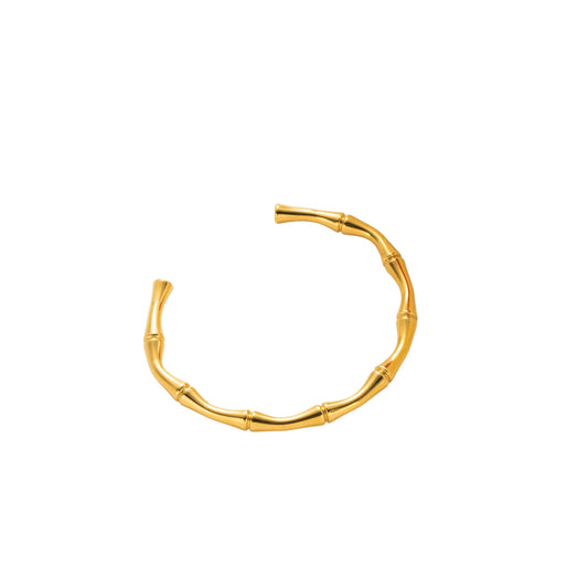 Remi Bangle