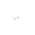 Stella Drop Earrings